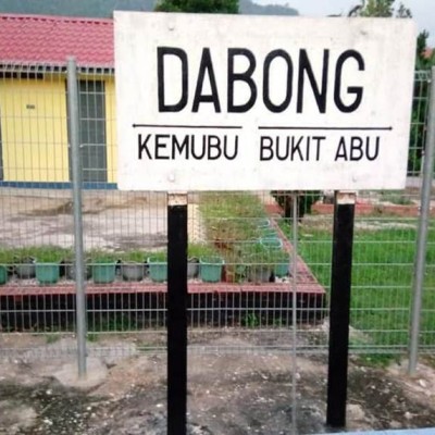 THE TRAIN RIDE TO DABONG