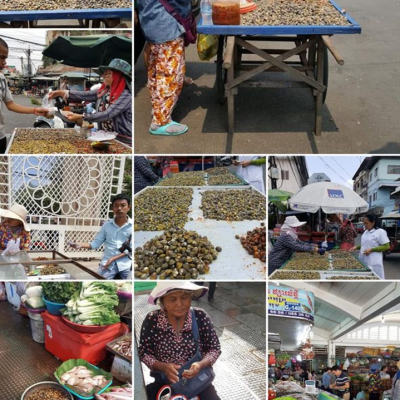 TONLE SAP LAKE & PHNOM PENH, CAMBODIA – HOW ‘ETOK’ BROUGHT US THERE? PART 2