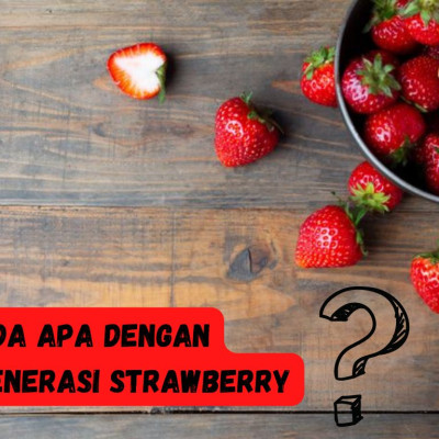 GENERASI STRAWBERI DI PERSIMPANGAN ZAMAN