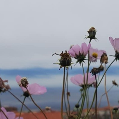 CITY OF LOVE – SIGHNAGHI, GEORGIA