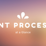 POINT PROCESSES AT A GLANCE