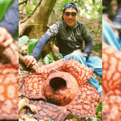 A STORY OF LUCKY ENCOUNTERS - PULAU BANDING’S EXPEDITION