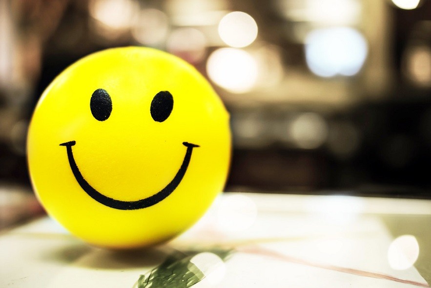 THE SCIENCE OF SMILING: WHAT CAUSES HAPPINESS IN STATES? EXAMINING THE GDP OR HAPPINESS INDEX